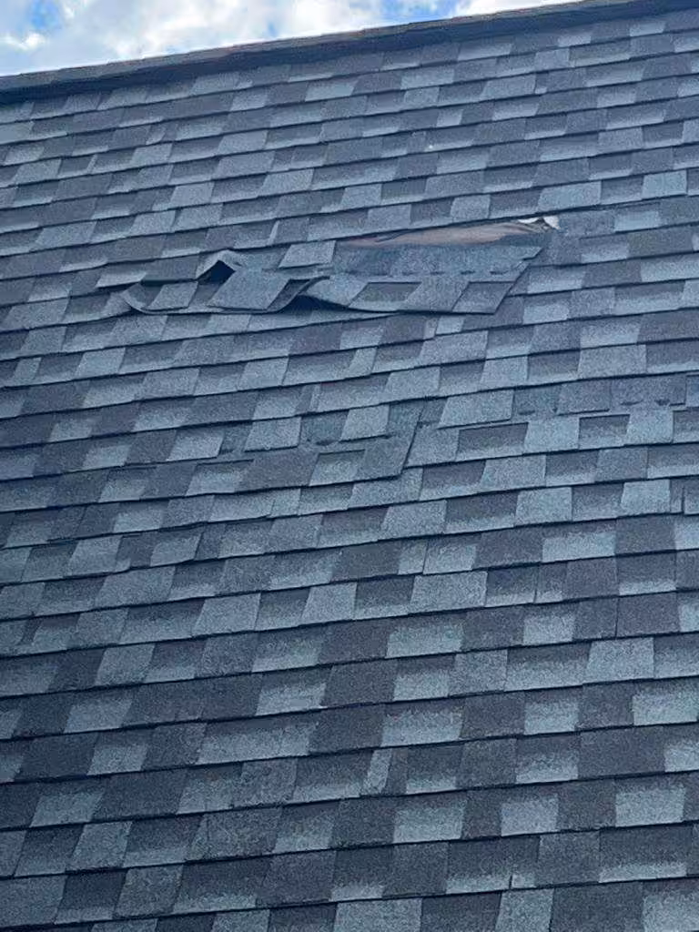 Leaking Roof Repair Service in Charlotte