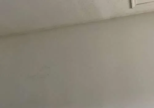 leaking-roof-repairs-near-me-leaky-roof-residential-roof-leak-repair-near-me-roof-leak-repair-near-me-water-damage-roof-leaking-roof-repair-500x350