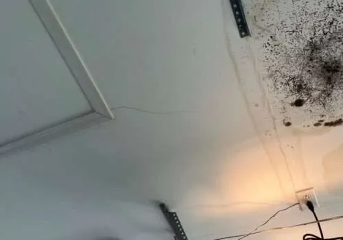 leaky-roof-residential-roof-leak-repair-near-me-roof-leak-repair-near-me-water-damage-roof-leaking-roof-repair-leaking-roof-repairs-near-me-1-500x350