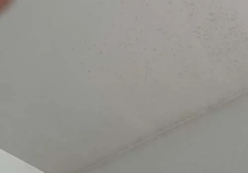 leaky-roof-residential-roof-leak-repair-near-me-roof-leak-repair-near-me-water-damage-roof-leaking-roof-repair-leaking-roof-repairs-near-me-500x350