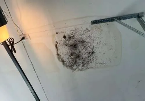 residential-roof-leak-repair-near-me-roof-leak-repair-near-me-water-damage-roof-leaking-roof-repair-leaking-roof-repairs-near-me-leaky-roof-1-500x350