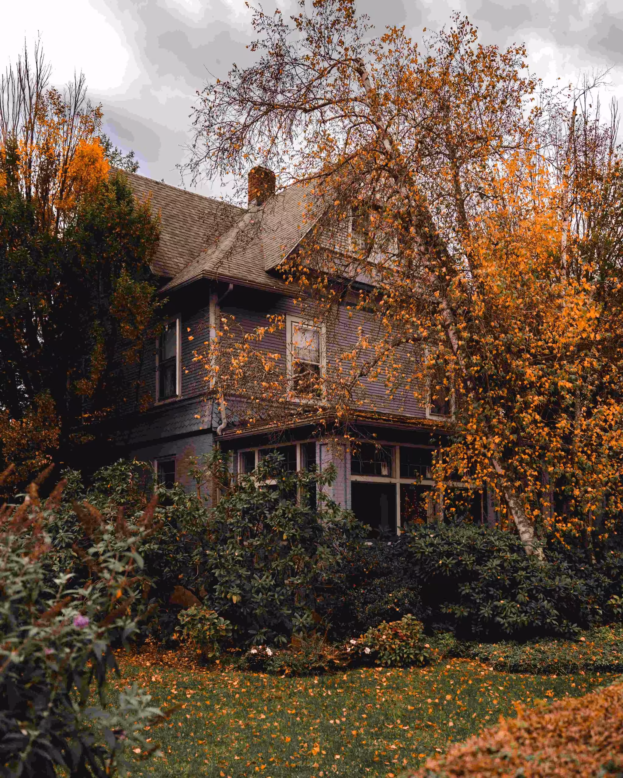 Emergency Restoration