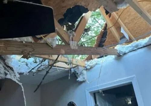tree-damage-roof-insurance-tree-damage-to-roof-tree-falling-on-house-tree-falls-on-house-tree-roof-damage-roof-damage-from-tree-2-500x350