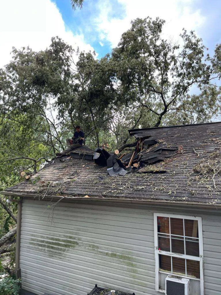 tree-damage-roof-insurance-tree-damage-to-roof-tree-falling-on-house-tree-falls-on-house-tree-roof-damage-roof-damage-from-tree-4