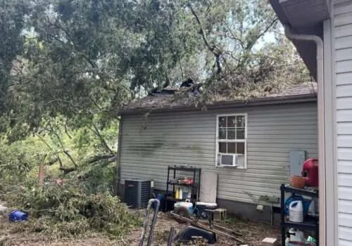 tree-damage-to-roof-tree-falling-on-house-tree-falls-on-house-tree-roof-damage-roof-damage-from-tree-tree-damage-roof-insurance-2-500x350