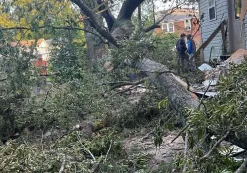 tree-damage-to-roof-tree-falling-on-house-tree-falls-on-house-tree-roof-damage-roof-damage-from-tree-tree-damage-roof-insurance-3-500x350