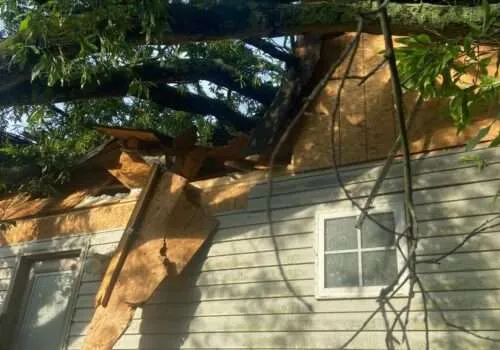 tree-falling-on-house-tree-falls-on-house-tree-roof-damage-roof-damage-from-tree-tree-damage-roof-insurance-tree-damage-to-roof-3-500x350