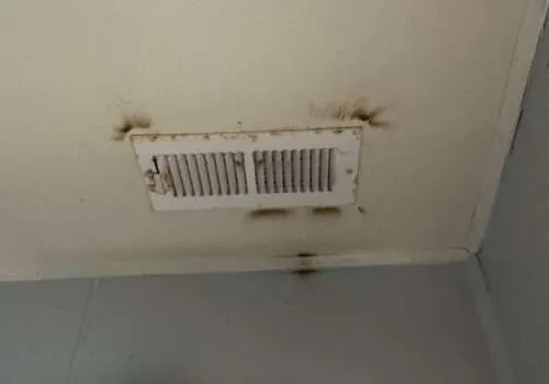 tub-overflows-water-damage-cleanup-near-me-water-damage-companies-near-me-water-damage-repair-near-me-water-damage-restoration-overflowing-bathtub-15-500x350