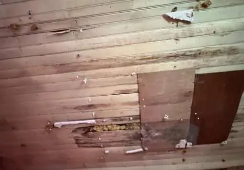 tub-overflows-water-damage-cleanup-near-me-water-damage-companies-near-me-water-damage-repair-near-me-water-damage-restoration-overflowing-bathtub-4-500x350
