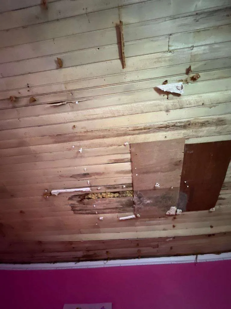 tub-overflows-water-damage-cleanup-near-me-water-damage-companies-near-me-water-damage-repair-near-me-water-damage-restoration-overflowing-bathtub-4