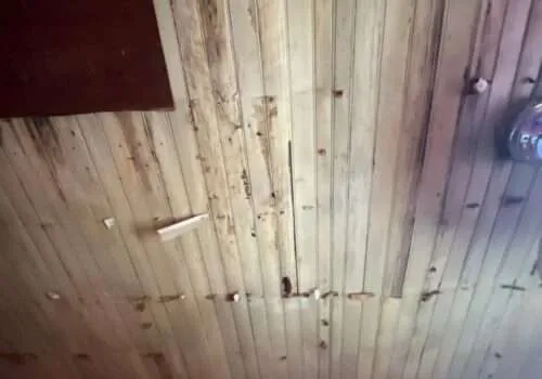 water-damage-cleanup-near-me-water-damage-companies-near-me-water-damage-repair-near-me-water-damage-restoration-overflowing-bathtub-tub-overflows-9-500x350