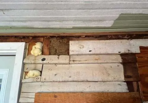 water-damage-companies-near-me-water-damage-repair-near-me-water-damage-restoration-overflowing-bathtub-tub-overflows-water-damage-cleanup-near-me-11-500x350
