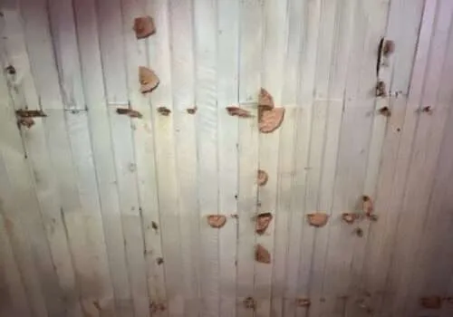 water-damage-repair-near-me-water-damage-restoration-overflowing-bathtub-tub-overflows-water-damage-cleanup-near-me-water-damage-companies-near-me-9-500x350