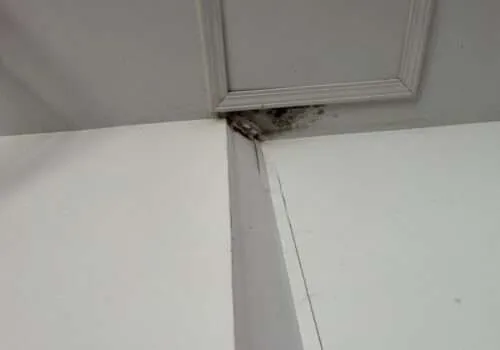 water-damage-roof-leaking-roof-repair-leaking-roof-repairs-near-me-leaky-roof-residential-roof-leak-repair-near-me-roof-leak-repair-near-me-1-500x350