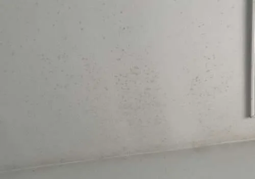 water-damage-roof-leaking-roof-repair-leaking-roof-repairs-near-me-leaky-roof-residential-roof-leak-repair-near-me-roof-leak-repair-near-me-4-500x350