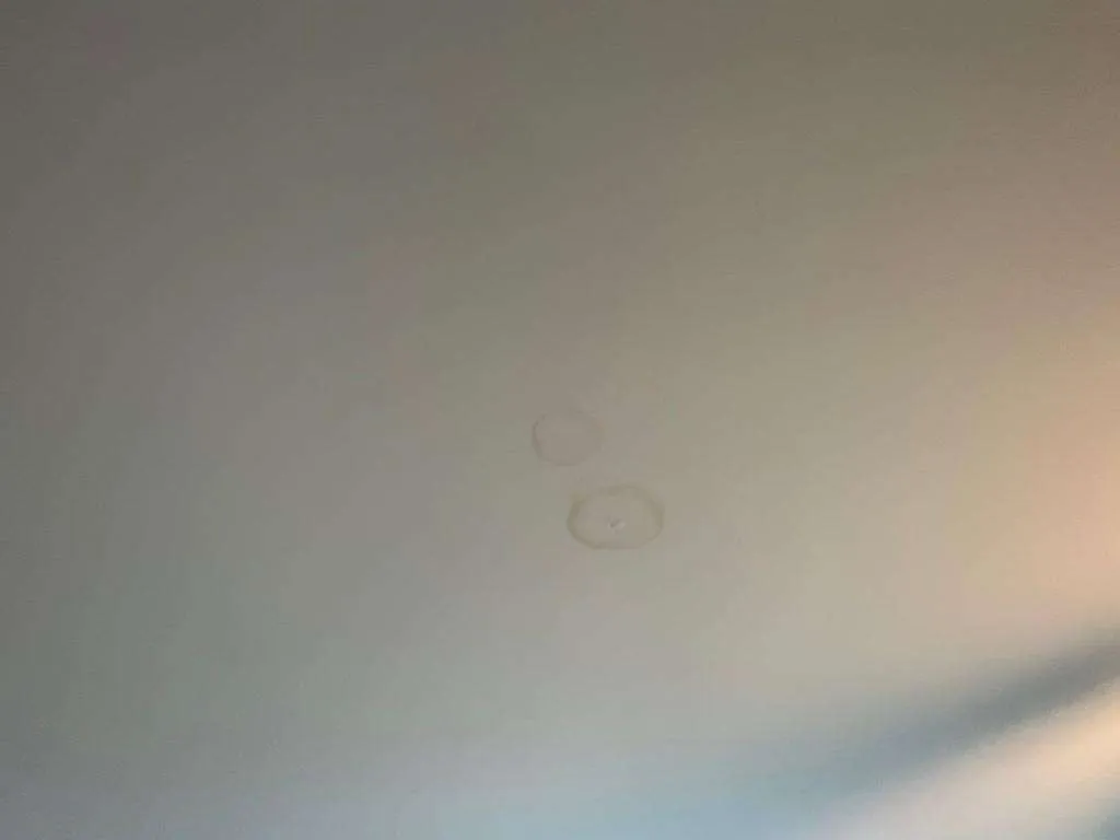 water-damage-water-damage-clean-up-water-damage-companies-near-me-water-damage-restoration-water-damage-restoration-near-me-interior-water-damage-4