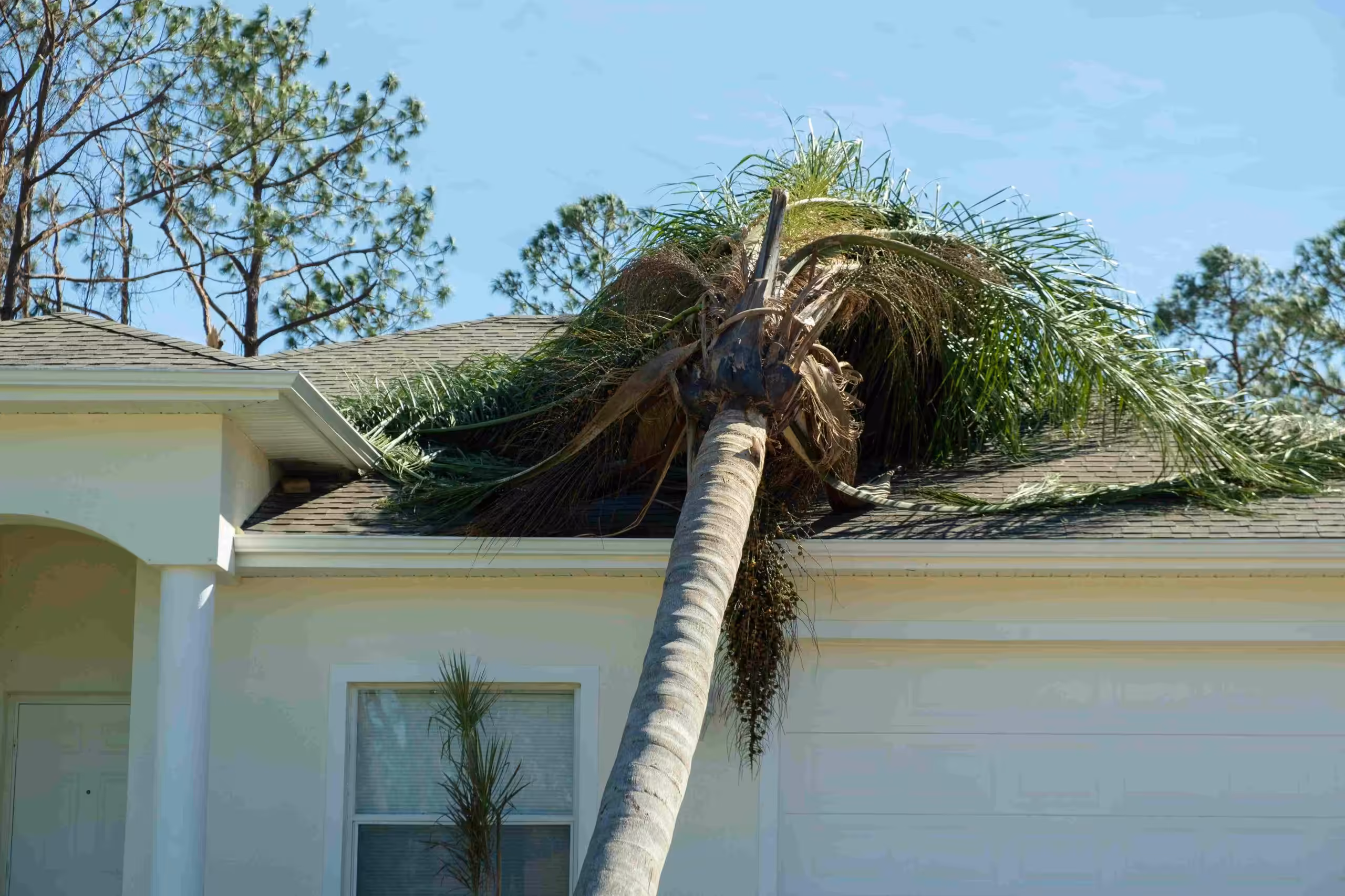 Storm Damage Restoration Service