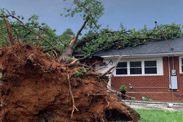 Storm Damage Restoration